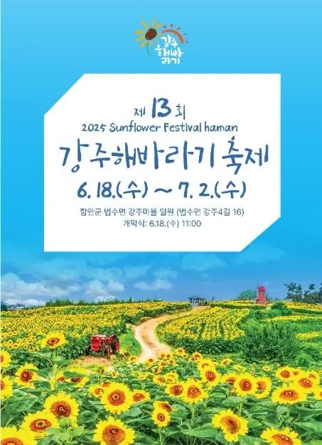 강주해바라기 축제, 수십만 송이 빛으로 경남 함안 물들인다 / 강주마을 강주해바라기축제위원회