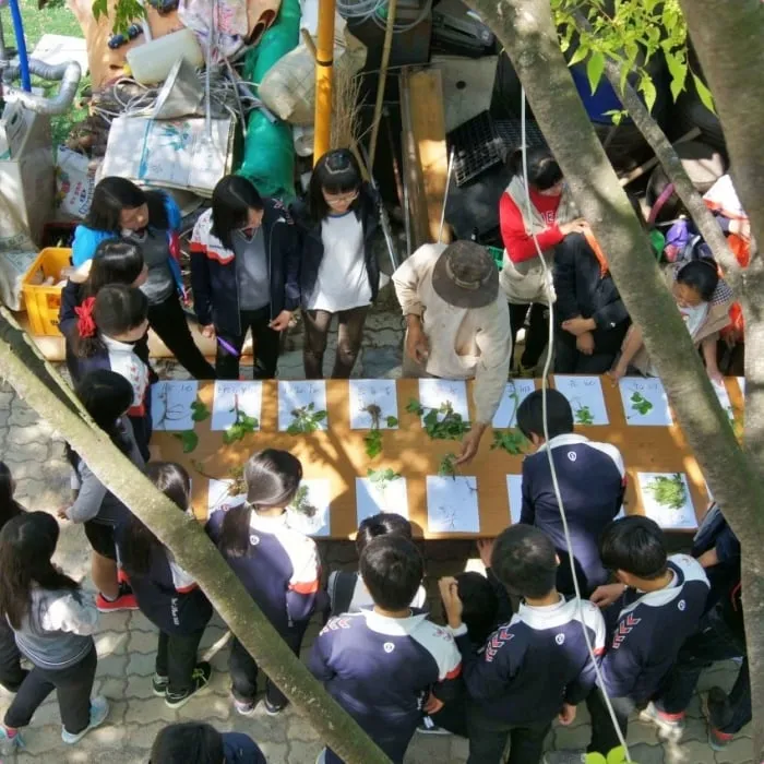 6시 내고향 텃밭도서관서 푸르른 하루