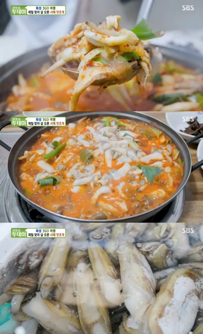 SBS ‘생방송투데이’ 방송 캡처