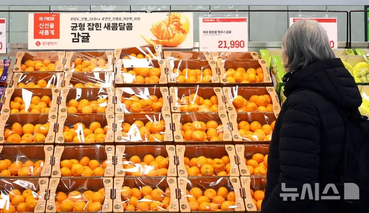 감귤 펙틴 유도체…뮌헨대·UFMG, 식이섬유 구조 변환→항암 가능성 조명