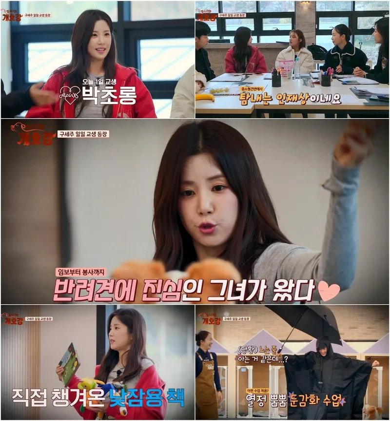 “엉뚱발랄한 마성 교생쌤”…에이핑크 박초롱, ‘집 나가면 개호강’ 대형견 사로잡다→유기견 봉사 내공 빛났다 / JTBC