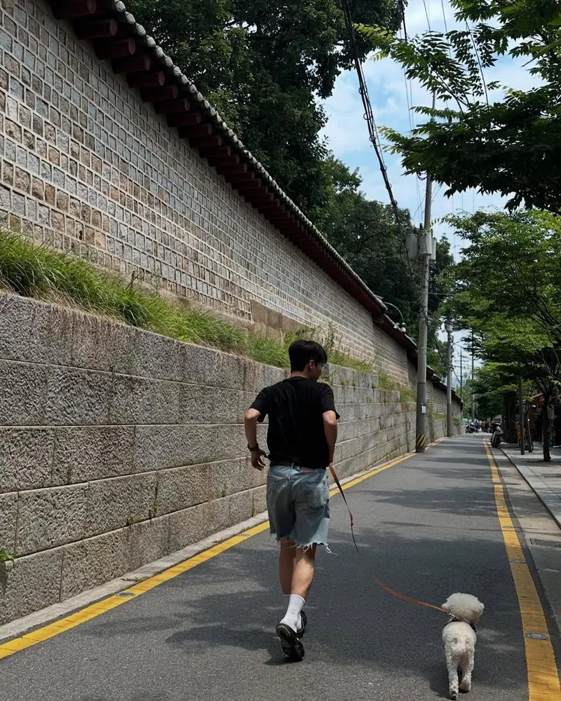 “요즘의 한 장면처럼”…윤병희, 청춘의 여름길→산책 속 여유 / 배우 윤병희 인스타그램