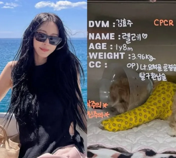한예슬, 반려견 렐레 품에 안고 눈물