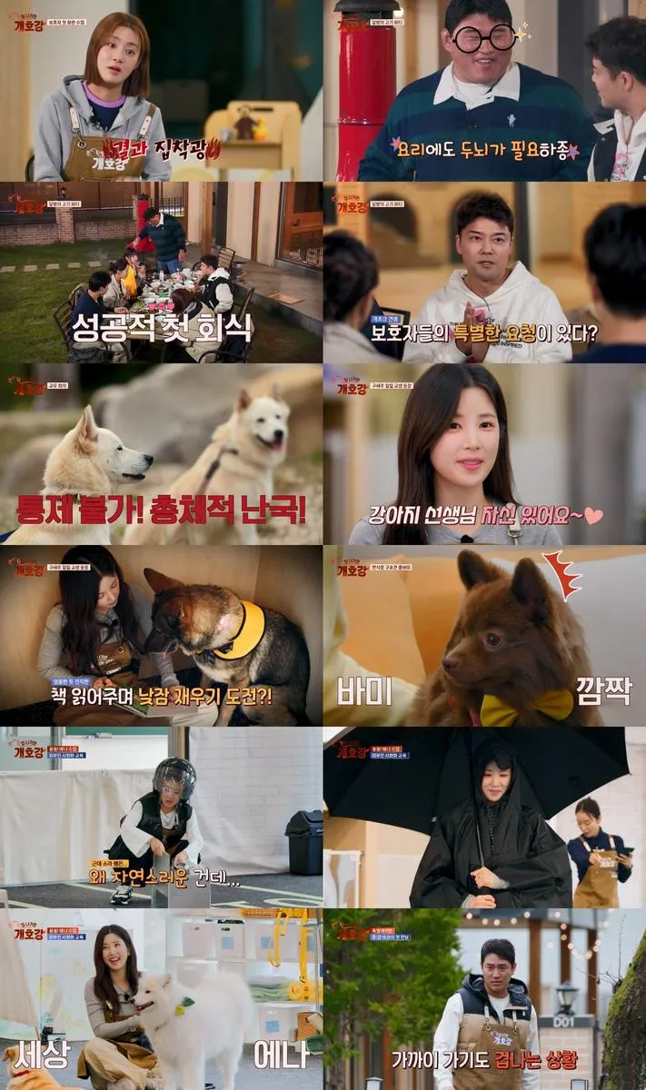 “박초롱의 반려견 도전”…‘집나가면개호강’ 일일 교생 출격→케어와 성장의 시간 / JTBC