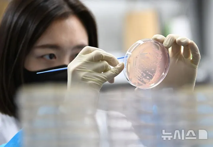 식품안전 전수점검…식품의약품안전처, 어린이집 급식 위생 강화→현장 행정조치 본격화