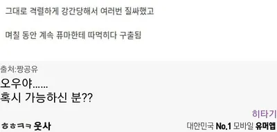 퓨마한테 강ㄱ 당한 남자 ㄷㄷ