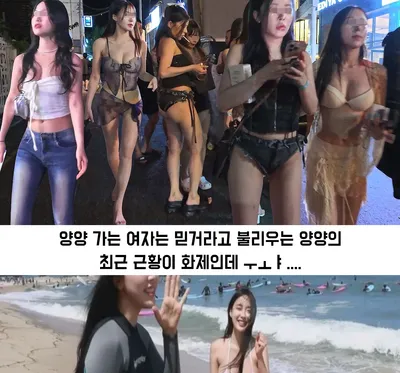 양양 해수욕장 근황.