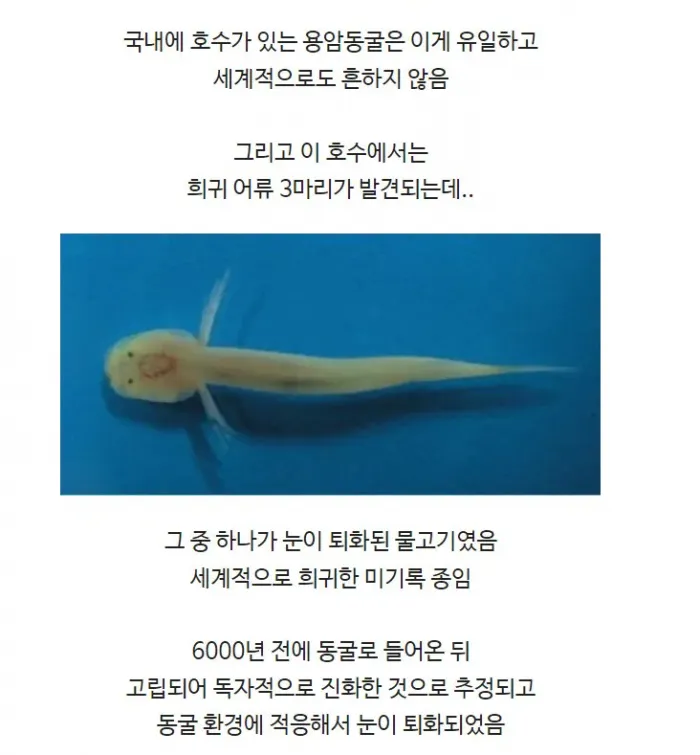 b722d5bb7e6c74ca7e488237fecf02d9_1744766260_5416.png