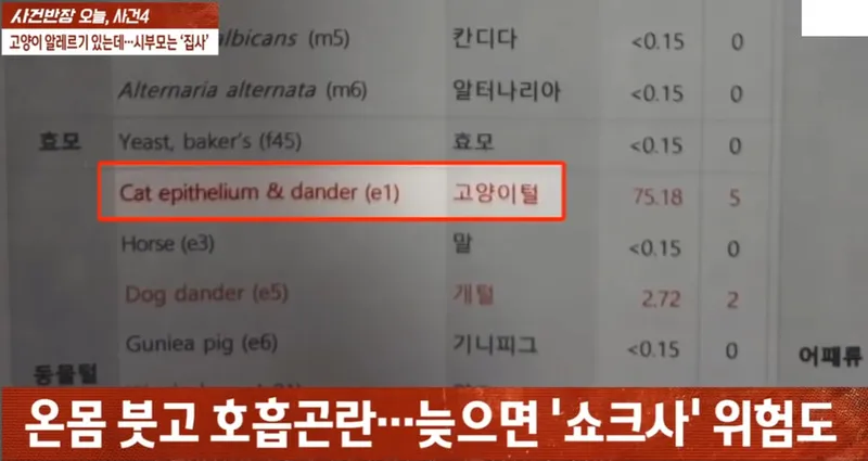 img/23/06/03/1888028fc702e03b.png 고양이 알러지 무시한 시댁 전원 쇠고랑