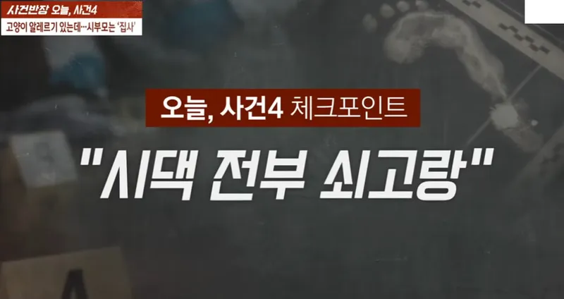 img/23/06/03/188802b6b482e03b.png 고양이 알러지 무시한 시댁 전원 쇠고랑