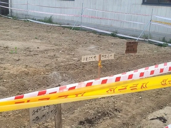 내  땅에 남이 무단으로 농사를 지으면 무조건 막아야 하는 이유 ㄷㄷ...jpg