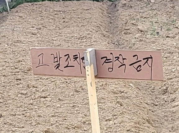 내  땅에 남이 무단으로 농사를 지으면 무조건 막아야 하는 이유 ㄷㄷ...jpg