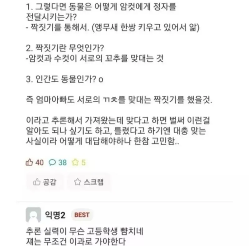 IMG_5314.jpeg 6살짜리 조카의 논리적 ㅅㅅ 추론