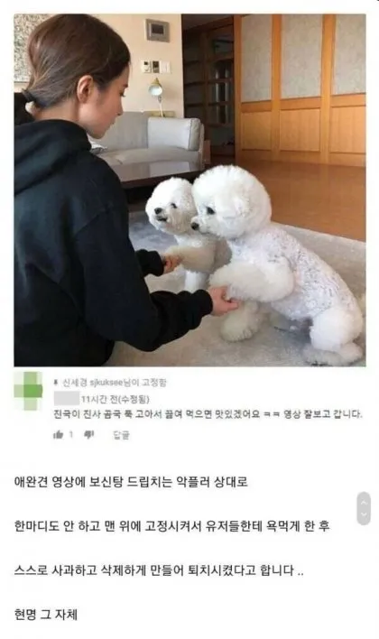 악플 대처 갑은 신세경인듯 | 인스티즈