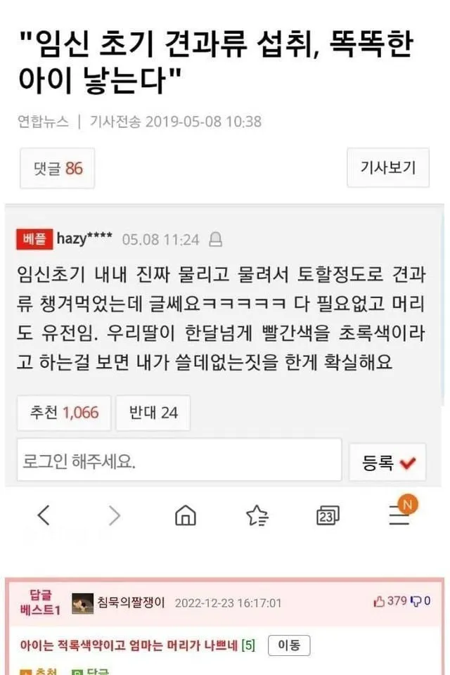 임신 초기.. 똑똑한 아이 낳는 방법