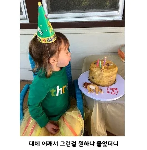 45c4b26c58610ae3508d97aa9990c182.webp.ren.jpg 3살 조카가 원한 케이크.jpg