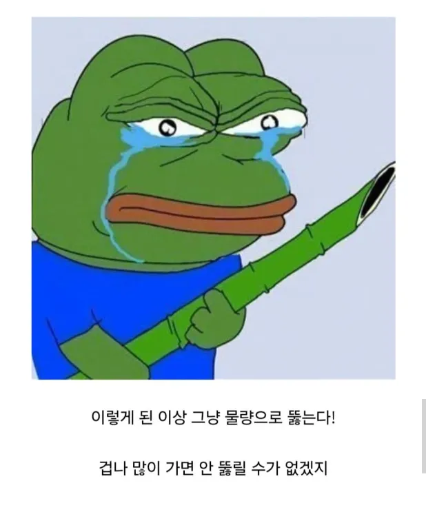 한반도 149승 1패 전적의 난공불락 성